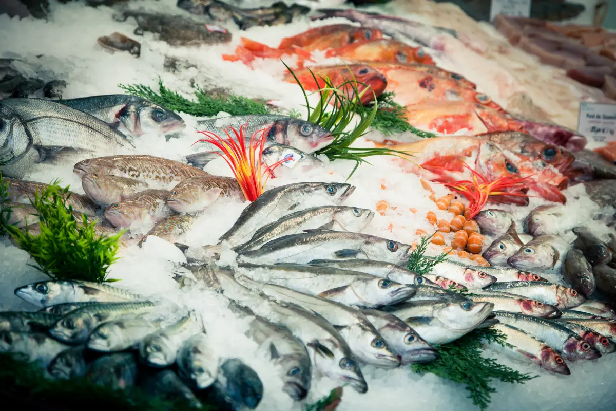 Poissonnerie à Auray